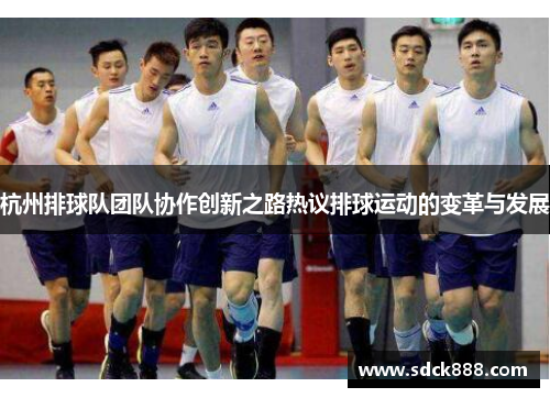 杭州排球队团队协作创新之路热议排球运动的变革与发展