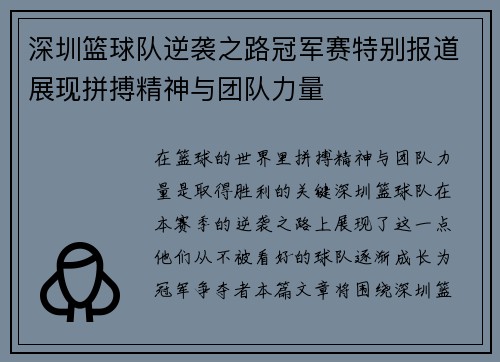 深圳篮球队逆袭之路冠军赛特别报道展现拼搏精神与团队力量